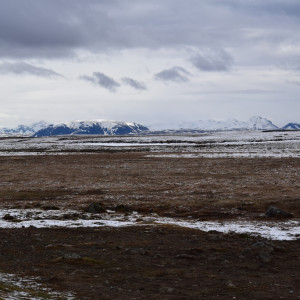 DSC_0455