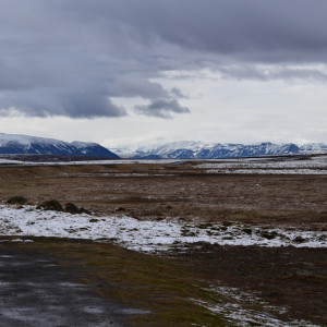 DSC_0457