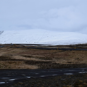 DSC_0463