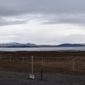 DSC_0481