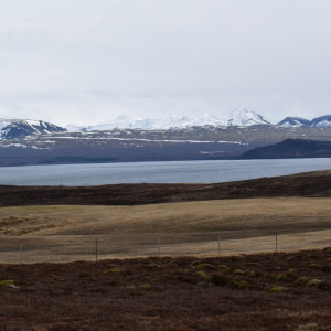 DSC_0492