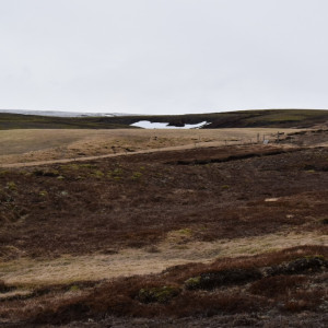 DSC_0496