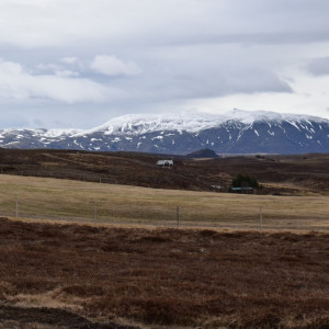 DSC_0498