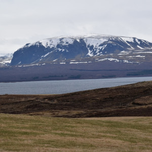 DSC_0503