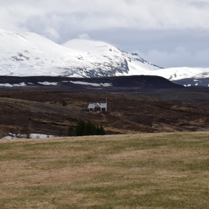 DSC_0506