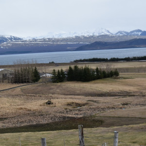 DSC_0512