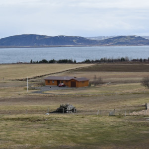 DSC_0513
