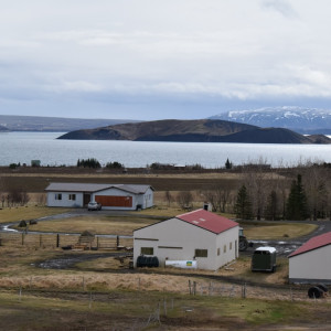 DSC_0514