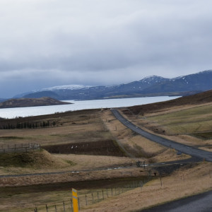 DSC_0515