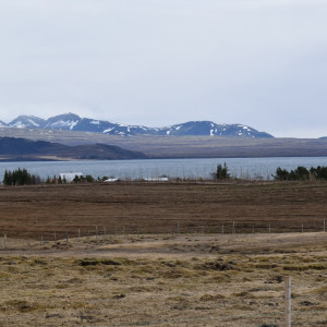 DSC_0521