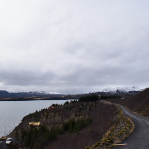 DSC_0535