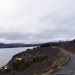 DSC_0538
