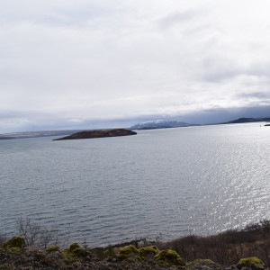 DSC_0539