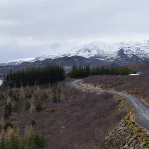 DSC_0543