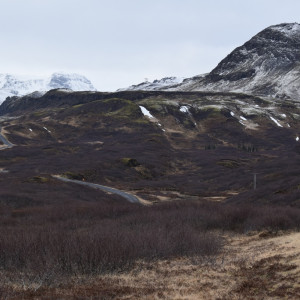 DSC_0546