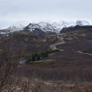 DSC_0547