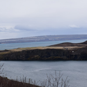 DSC_0554