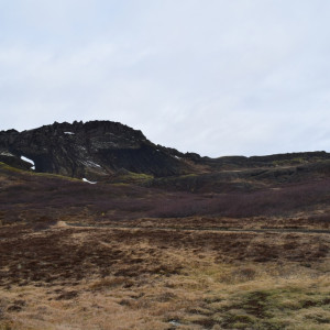 DSC_0556