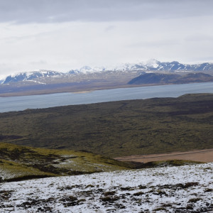 DSC_0560