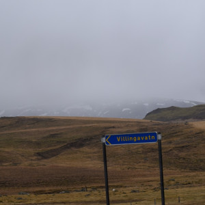 DSC_0582