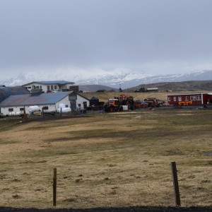 DSC_0583