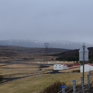 DSC_0587