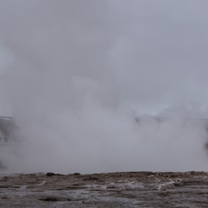 DSC_0642