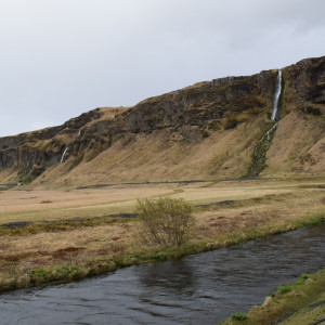 DSC_0754 - Copy