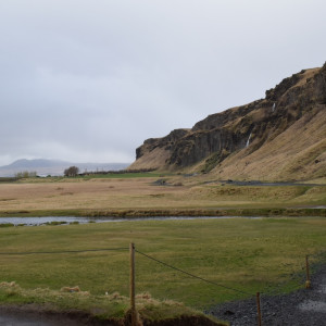 DSC_0763
