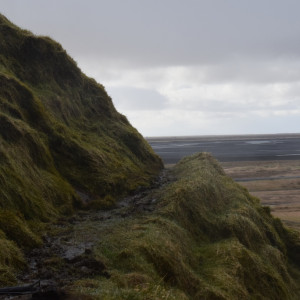 DSC_0793