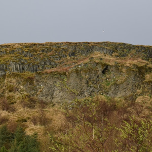 DSC_0917