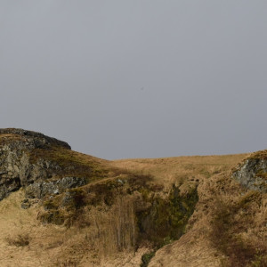 DSC_0919