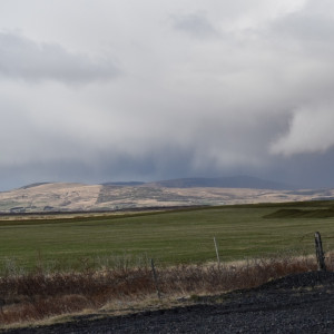 DSC_0964
