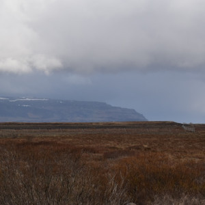 DSC_0968