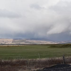 DSC_0977