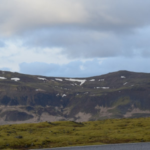 DSC_0991