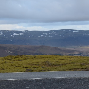 DSC_0994