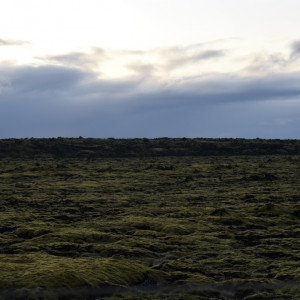 DSC_1029