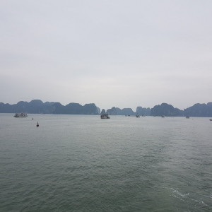 Vietnam49