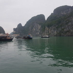 Vietnam50