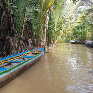 Vietnam243