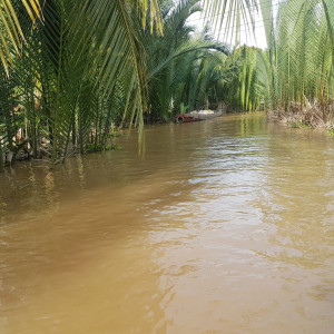 Vietnam245