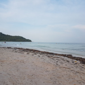Vietnam289