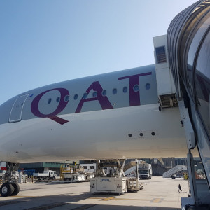 Qatar50