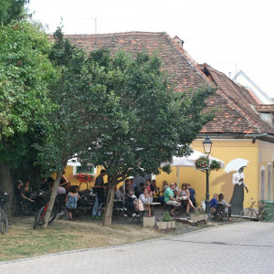 Balcas 2016 008