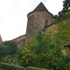 Balcas 2016 014