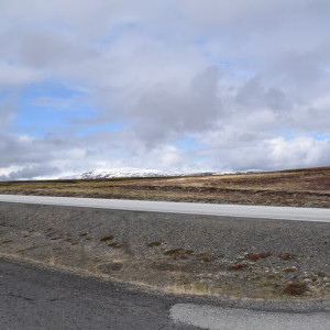 DSC_1050