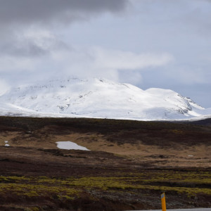 DSC_1061