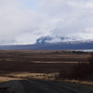 DSC_1063