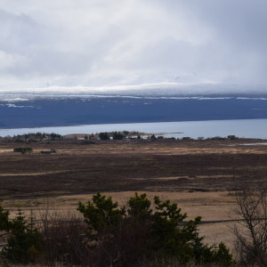 DSC_1067